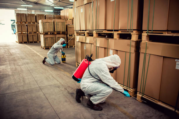 Best Exterminator Services  in Gibbon, NE