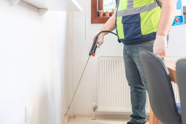 Best Wasp Removal Services  in Gibbon, NE