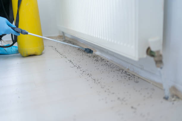 Best Pest Removal Services  in Gibbon, NE