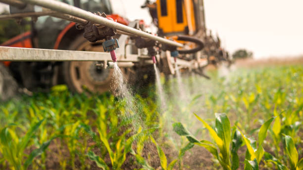 Reliable Gibbon, NE Pest Control Solutions